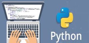 learn Python online